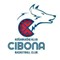 cibonaci